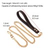 Dog Lead Chain, 1.3 m / 4 ft Metal Dog