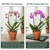 2 Pack Seedling Heat Mat with Thermostat for Plants Seed