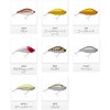 Rapala AOG120SLM #SPM Northcraft Air Ogle 4.7 inches (12 cm),