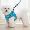 Magshion No Pull Dog Harness and Leash Set for Small