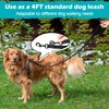PetBonus Two Point Control Dog Leash, Works with No Pull