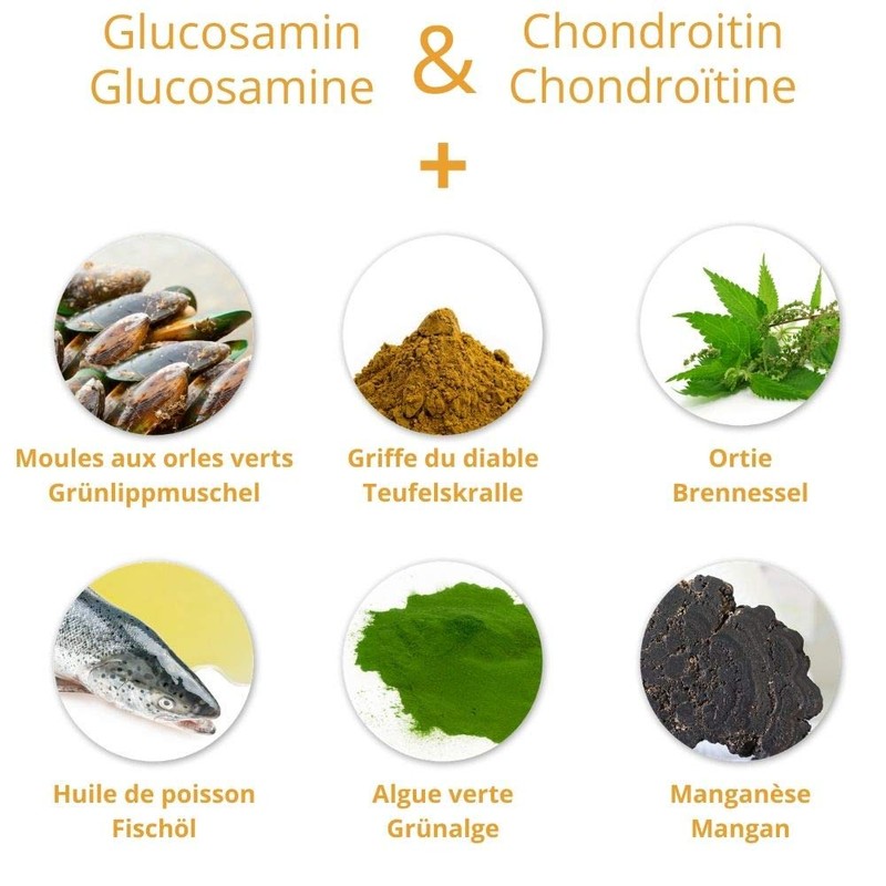 Prodivet Aplazyl - 60 tablets