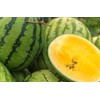 TomorrowSeeds - Yellow Petite Watermelon Seeds - 20+ Count -