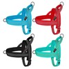 Didog No Pull Dog Harness with Breathable Mesh Padded, Full
