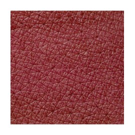 Neve Cosmetics Ruby Juice Lippentönung, leicht wie Wasser beständig wie Tinte | "On Set"