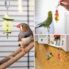 SUpoetry Pack of 2 Bird Parrot Skewers, Stainless Steel Parrot