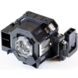 MicroLamp ML10252 170W projector lamp - projector lamps (Epson, Epso