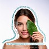 Tea Tree Extract Facial Cleansing Gel Oil / Acne Tendent