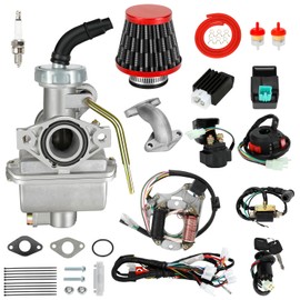 EOPOAYI Complete Wiring Harness and PZ20 Carburetor Kit Compatible with Tao tao Coolster 110cc 125cc ATV Chinese 4-Stroke Kazuma Baja Sunl NST Roketa Loncin Lifan Buyang Icebear Quad 4 Wheeler Parts