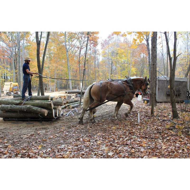 1/8" x 9" x 36" Black Cherry Wood Lumber Thin