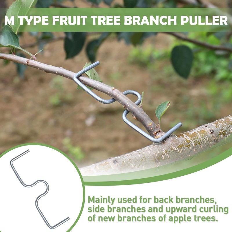 Raxfekro Branch Separator Fruit Tree, Branch Puller Holder for Fruit