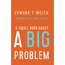 A Small Book about a Big Problem: Meditations on Anger, Patience, and Peace