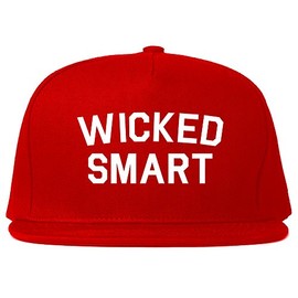 Wicked Smart Boston Funny Snapback Hat Cap Red