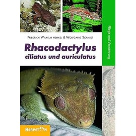 Rhacodactylus ciliatus und auriculatus: Pflege und Vermehrung