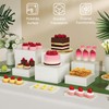 Daywhote 6PCS Buffet Risers,Acrylic Food Risers for Buffet Table, Nesting