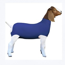 FUZIDDN Spandex Goat Tube for Show Goats - Show Livestock Supplies: Goat Covers & Blankets (Sky Blue, Medium)