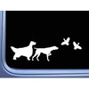 English Setter German Shorthair Pointer with Quail TP 377 vinyl