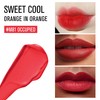 HEXZE Velvet Matte Lip Gloss M81