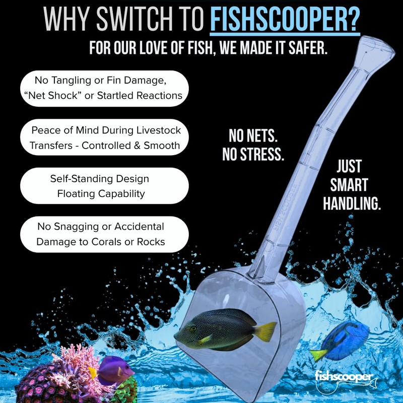Fish Scooper, Fish Net Tool for Transfers, Fish Traps, Coral