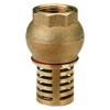 1" BSP Female Check Foot Valve Suction Brass Non Return