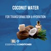 Pure Paws H2O Essentials Conditioner | Extreme Coconut Moisturizing Hydration