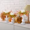 Mumufy 3 Set 6 Pcs Fall Centerpiece Table Decorations Fall