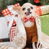 CHERRY-MAGIC Christmas Cat Collars, Red Kitten Collars with Detachable Bow