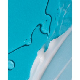 Bioearth Hair 2.0 Shampoo Normalizing for Hair Oily E Heavy Duty - 250 ml