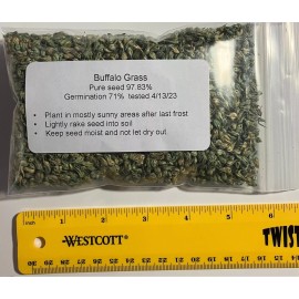 link 2 oz BUFFALO GRASS Seed Native Prairie Sedge Low Maintenance Drought Heat Turf