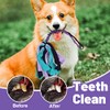 Juguete de tirón para perros (morado)