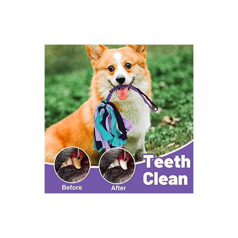 Juguete de tirón para perros (morado)
