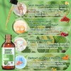 Soursop Graviola Liquid Drop Soursop Bitters Liquid, 2000mg Organic Soursop