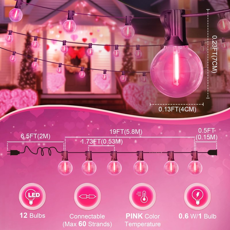 LAMPHOME LED Outdoor String Light, 26Feet Patio Lights with 12+1Edison