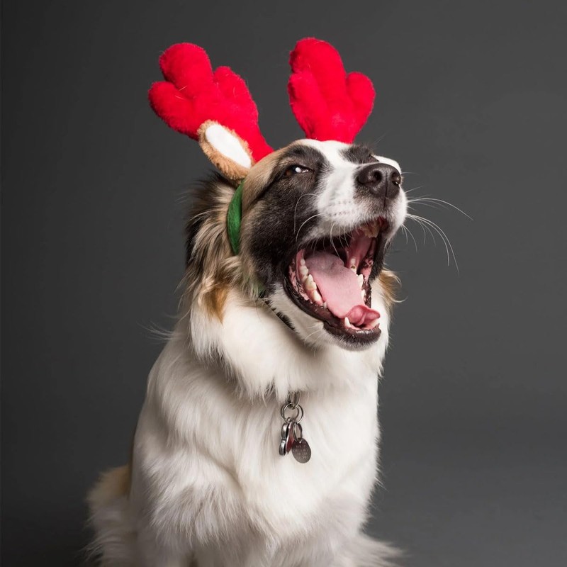 Split Key Rings, Round Split Key Rings, Keychain Split Rings,