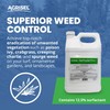 Agrisel GlyPhoSel Pro Weed Killer, Tackles Hard-to-Kill Weeds, Low-Odor, Easy