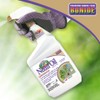 Bonide Captain Jack's Neem Oil, 32 oz Ready-to-Use Spray, Multi-Purpose