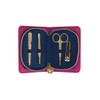 Sara Miller Luxury Vibrant Manicure Set for Women