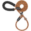 iYoShop Durable Slip Lead Dog Leash with Padded Handle and