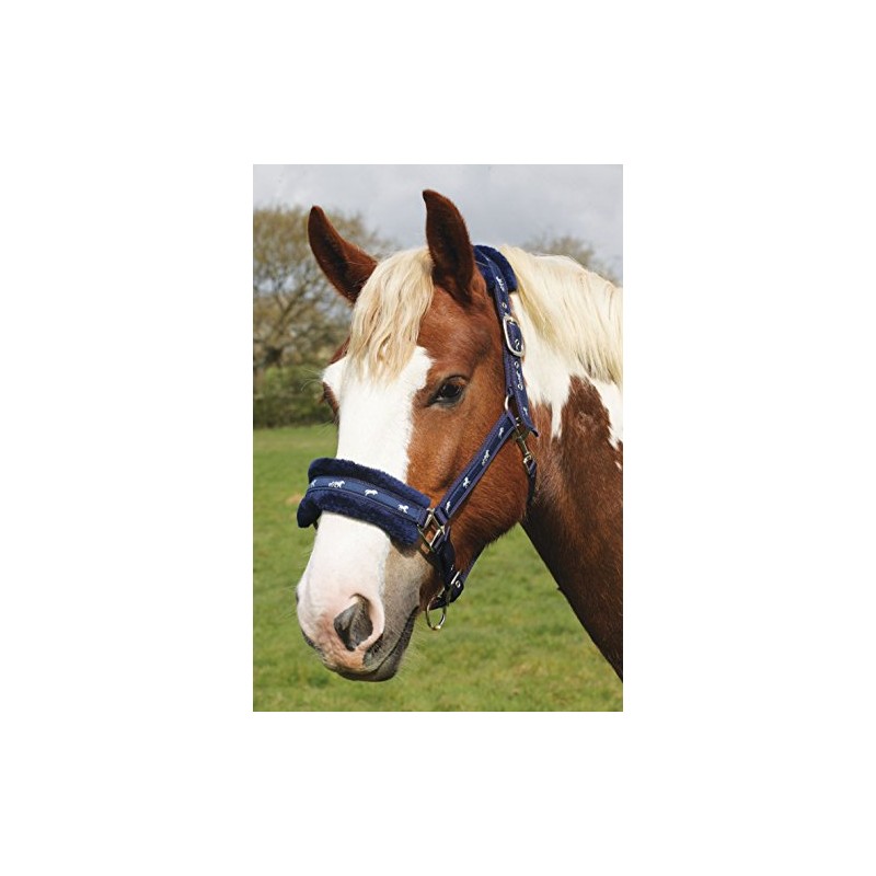 Rhinegold Logo Headcollar Fleece Trim - Shet - Blue