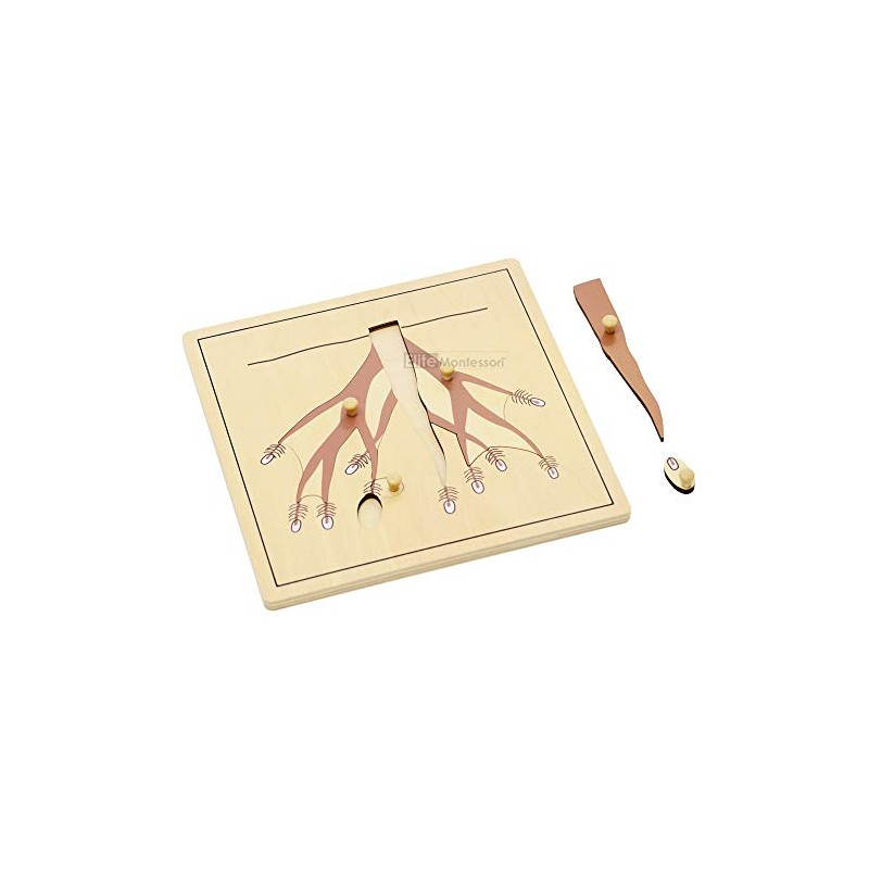 Elite Montessori Root Puzzle