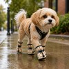 Dog Shoes for Outdoor Walking - 4-Piece Anti-Slip Paw Boots