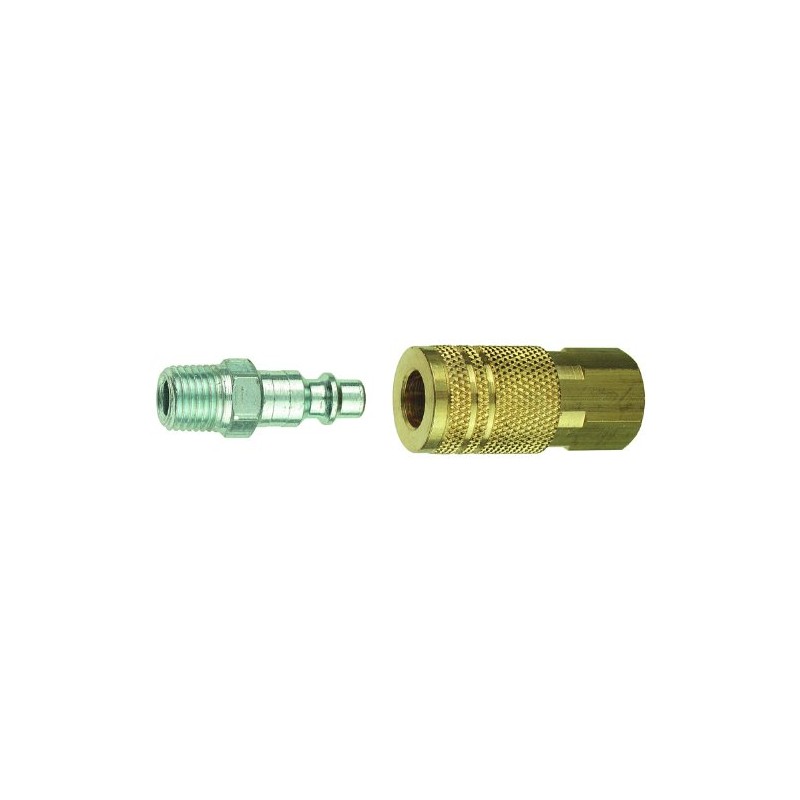 Tru-Flate 13-201 1/4" I/M Design x 1/4" NPT Mixed Plug/Coupler