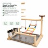 Bird Playground Natural Wood Parrot Stand with Ladder Swing Food