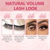 FADLASH Natural False Eyelashes Wispy Lashes 𝟏𝟎 𝐏𝐚𝐢𝐫𝐬 Cat Eye