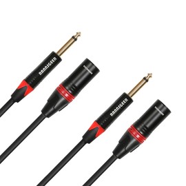 Rannsgeer 2 Pack 1/4 Inch TS to XLR Male 3 Feet Cable (3 Ft 2 Pack)