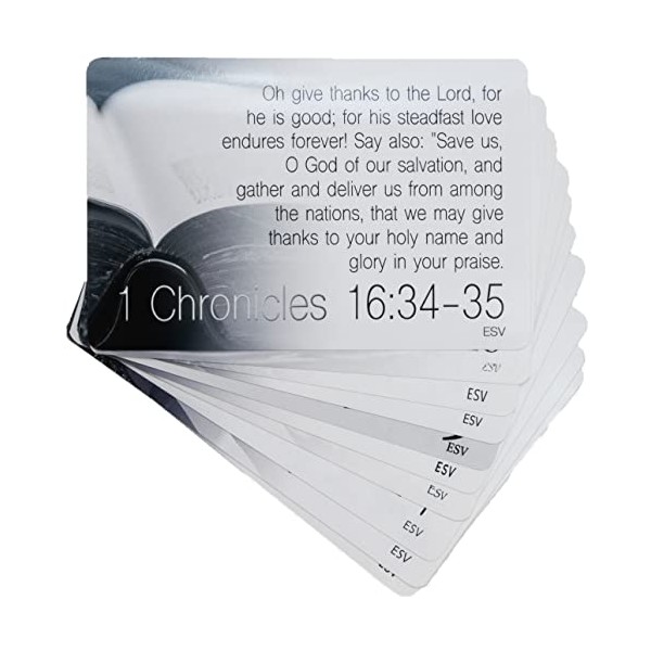 Thankfulness Scripture Cards (10-Pack), Inspirational Memorization Bible Verse Cards of Encouragement (ESV)