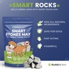 Smart Rocks Max | Urine Neutrialiser Rocks To Stop Grass