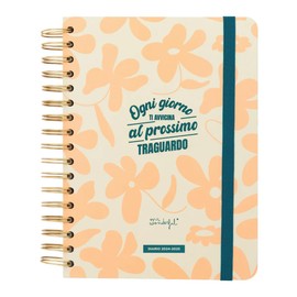 Mr.Wonderful 2024-25 Daily Office School Diary - Every day brings you closer to the next milestone