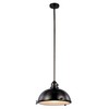 Trans Globe Lighting PND-1006 WB Indoor Performance 17" Pendant, Weathered