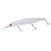 DAIWA Shoreline Shiner Z Set Upper 145SDR Konuma Special